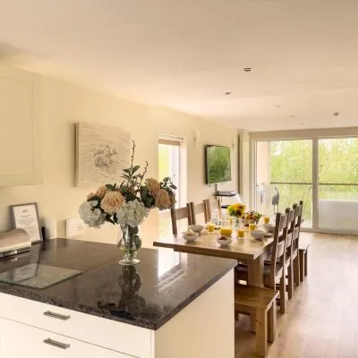 Modern kitchen at Velvet Lodge holiday home